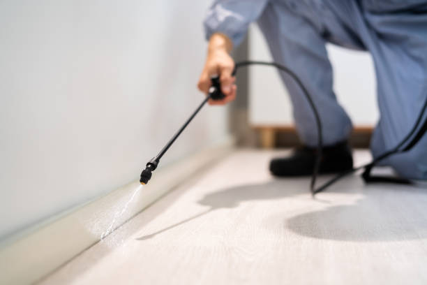 Licensed Termite Control service in Rogers, TX - Show Me Pest Control