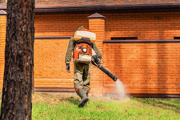 Bed Bug Clearance Verification and Documentation in Rogers